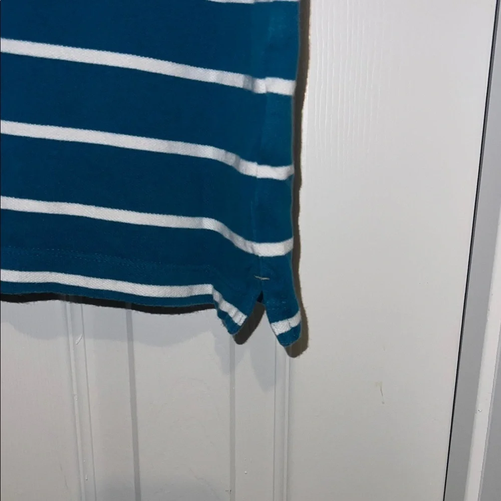 Banana Republic Teal and White Striped Polo